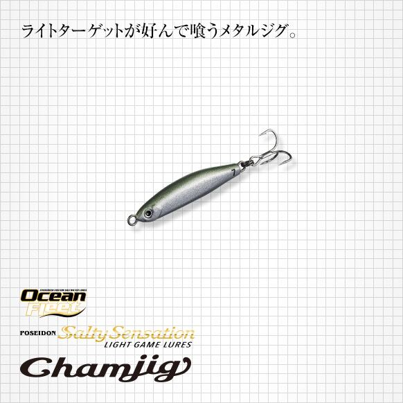 EVERGREEN)チャムジグ2.5g