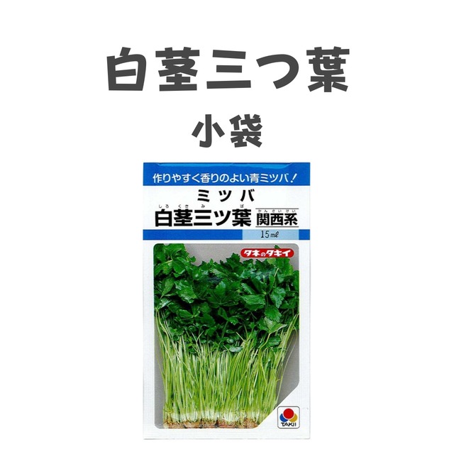 白茎みつば（関東系・関西系）　ミツバ種子・小袋