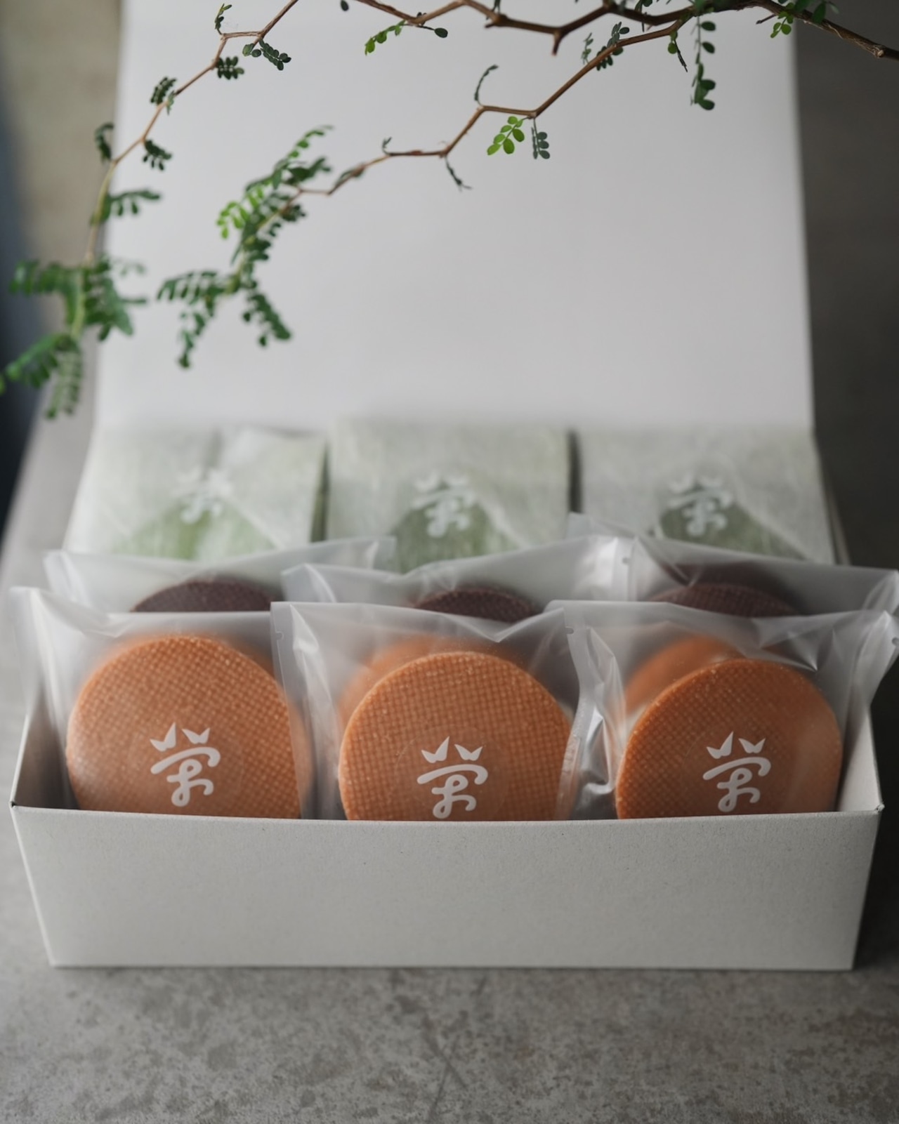 【バレンタインデー限定】カップ抹茶テリーヌセット