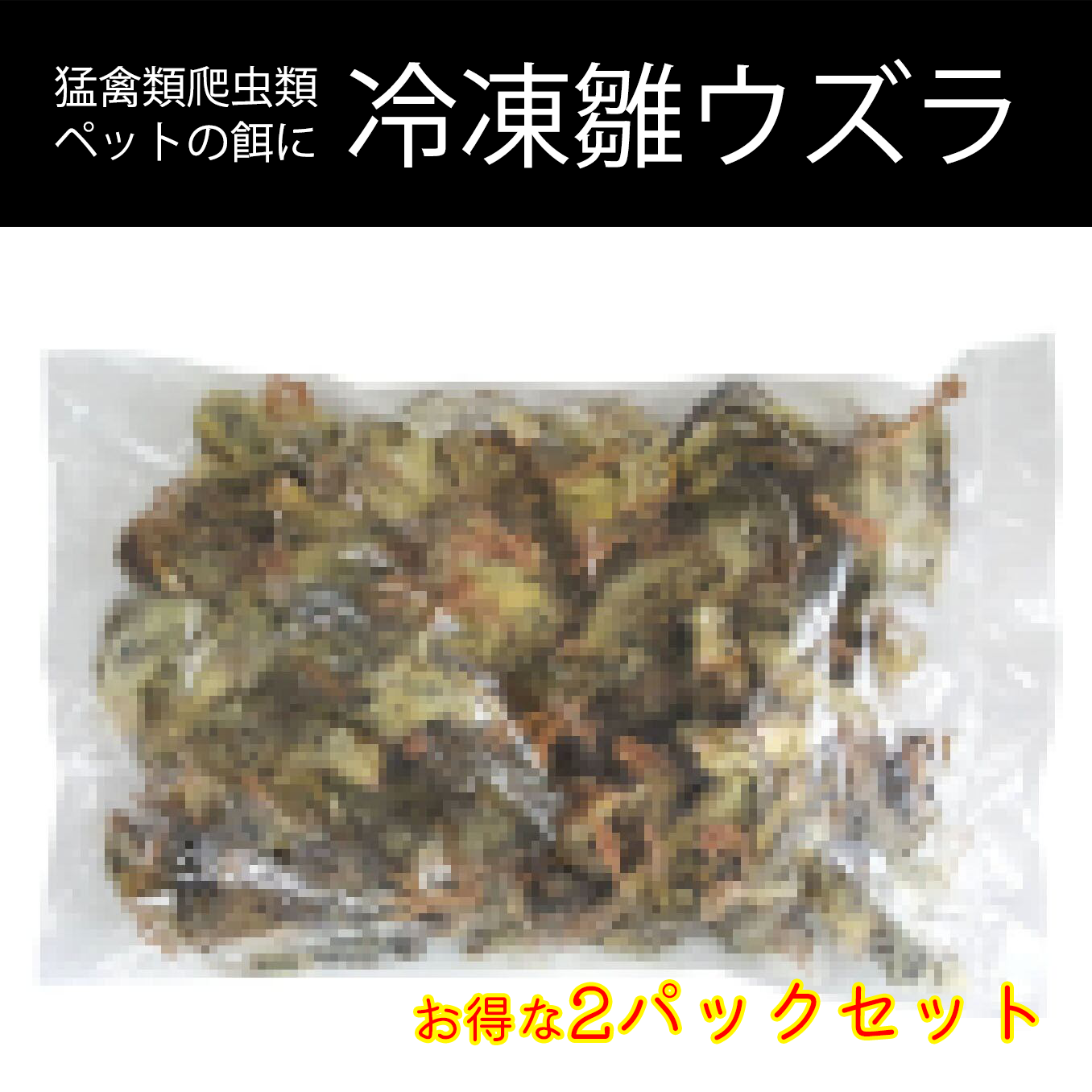 冷凍 雛ウズラ 2kg 送料無料 冷凍 送料無料 国産雛ウズラ 処理済み 63