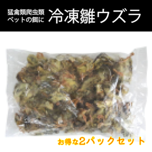 【お得な２パックセット】ペット餌用 冷凍 国産雛ウズラ 1000g 約140羽