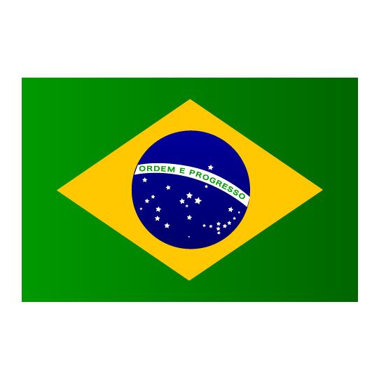 【ブラジル】プレミアムショコラ ［200g］中深煎り 自家焙煎珈琲