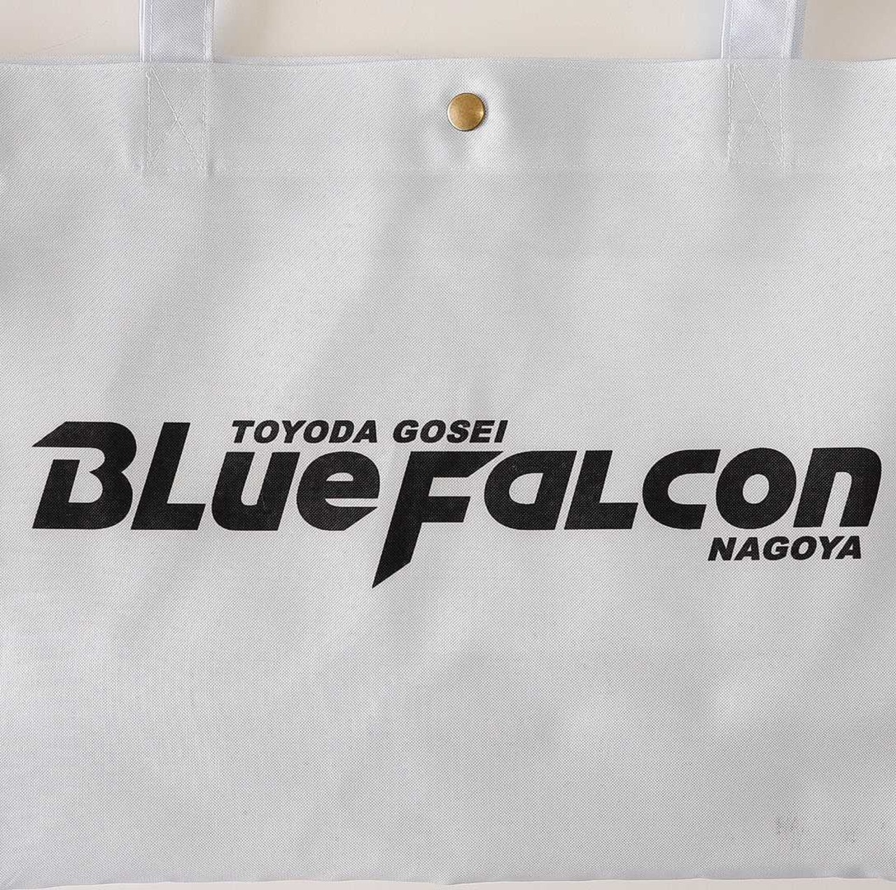 《ブルーファルコン》エアバッグトート チームロゴ