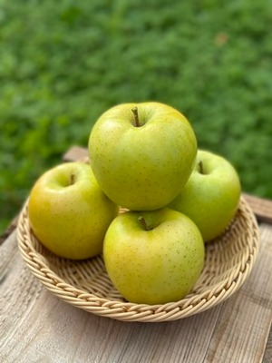 葉取らず高徳&王林家庭用　2kg