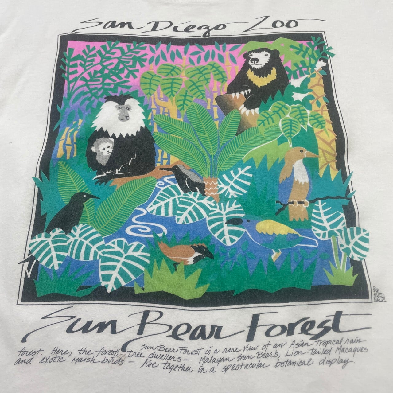 80〜90年代 SAN DIEGO ZOO アートプリントTシャツ アニマル メンズXL 