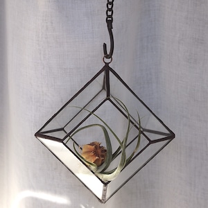 Hanging Terrarium P - Copper