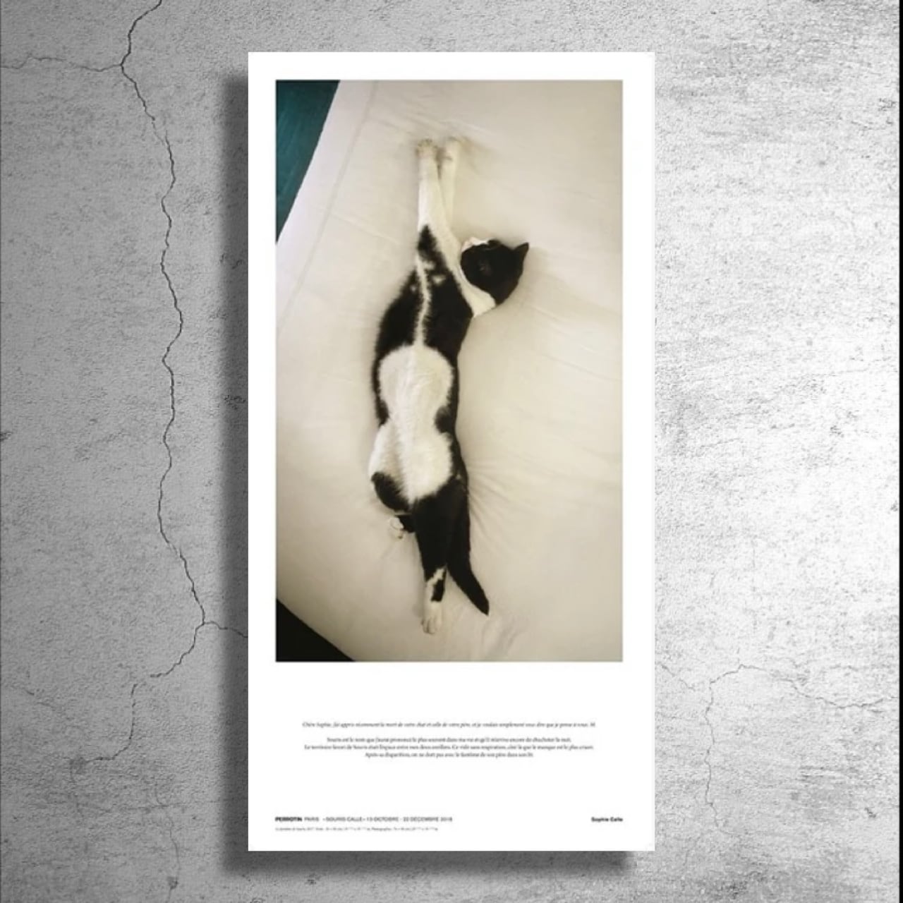 現代美術家『ソフィ・カル』フランス現代美術館制作ポスター