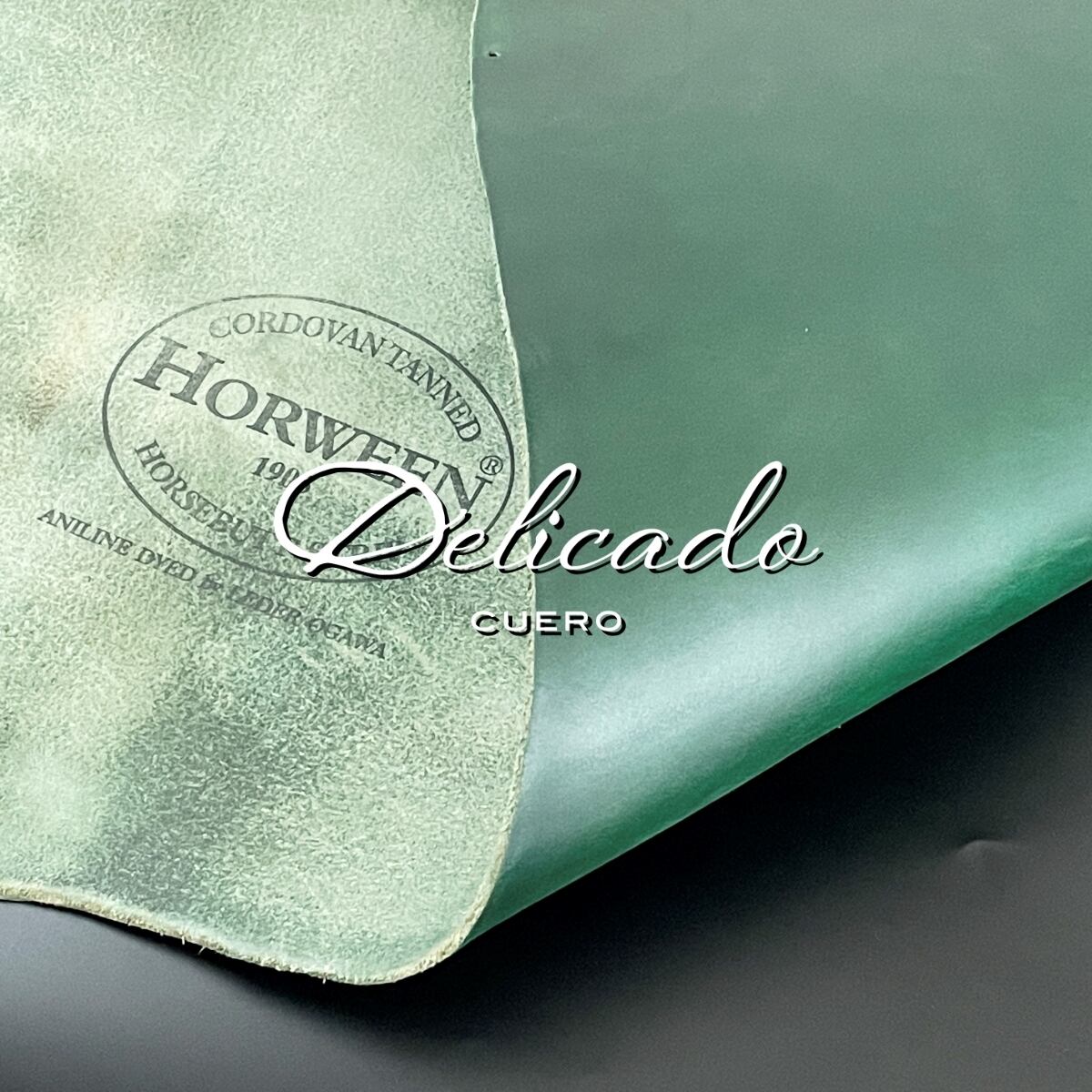 HORWEEN × レーデルオガワ ホースバット ミドルウォレット グリーン
