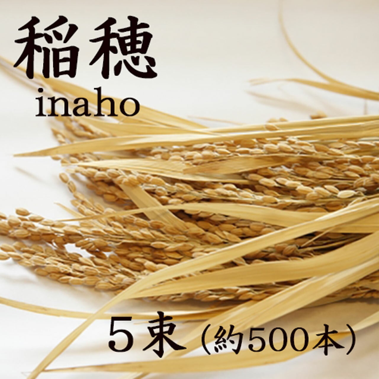 新米！【 稲穂 いなほ 】 コシヒカリ 2束 /約200本 ＜2025年