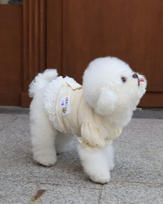 予約【eomuk】Hug Me Marble Cardigan (Butter Marble)