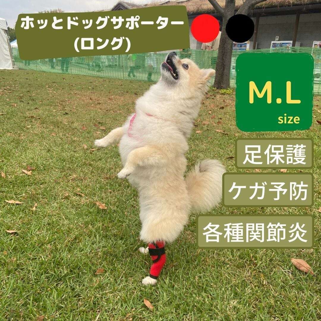わんちゃんサポーター(ロング) Mサイズ Lサイズ 両足兼用 犬用サポーター