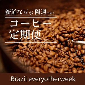 コーヒー定期便　Brazil　EVERY OTHER WEEK