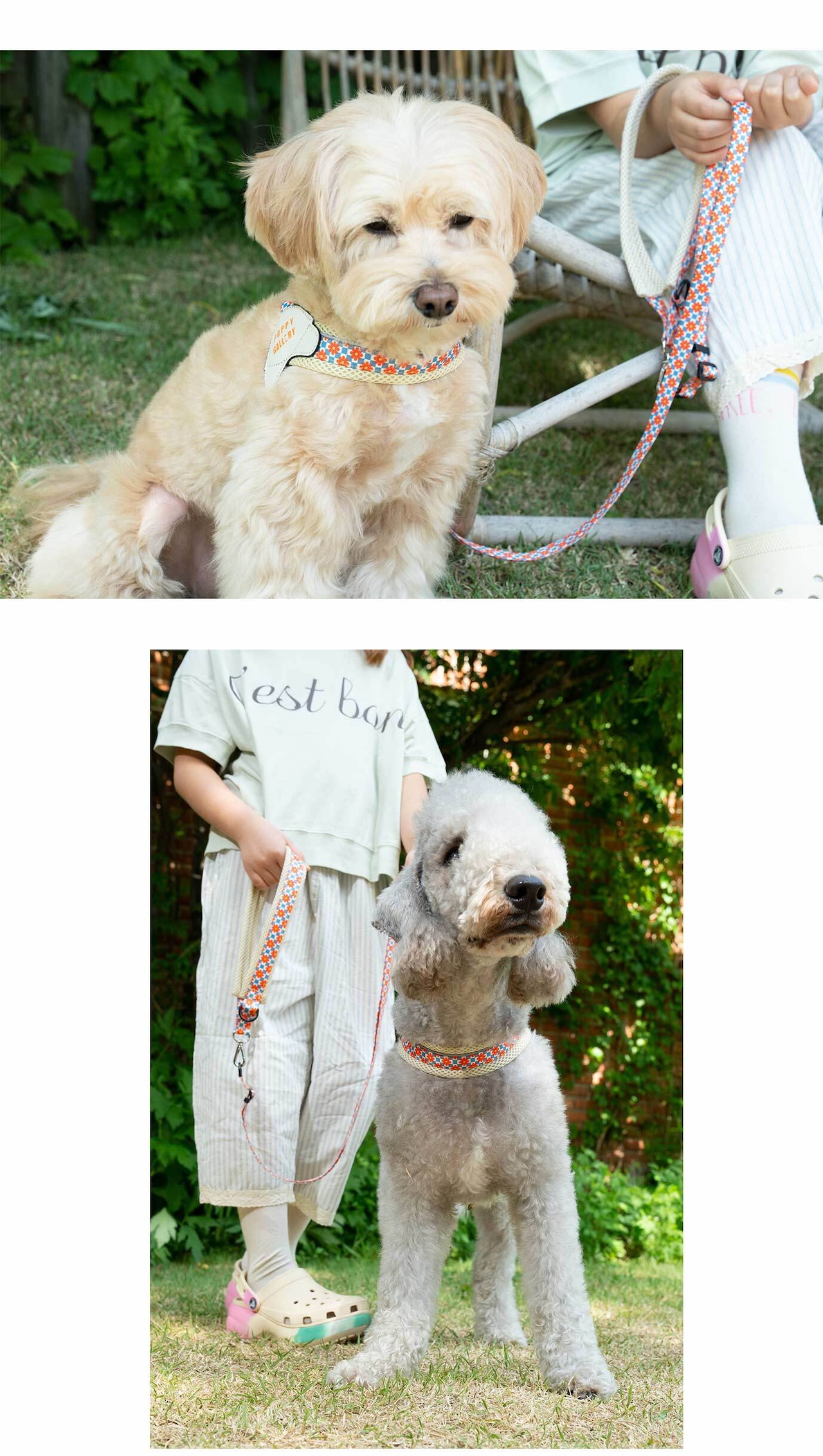 【PUPPYGALLERY公式】Vハーネス XL