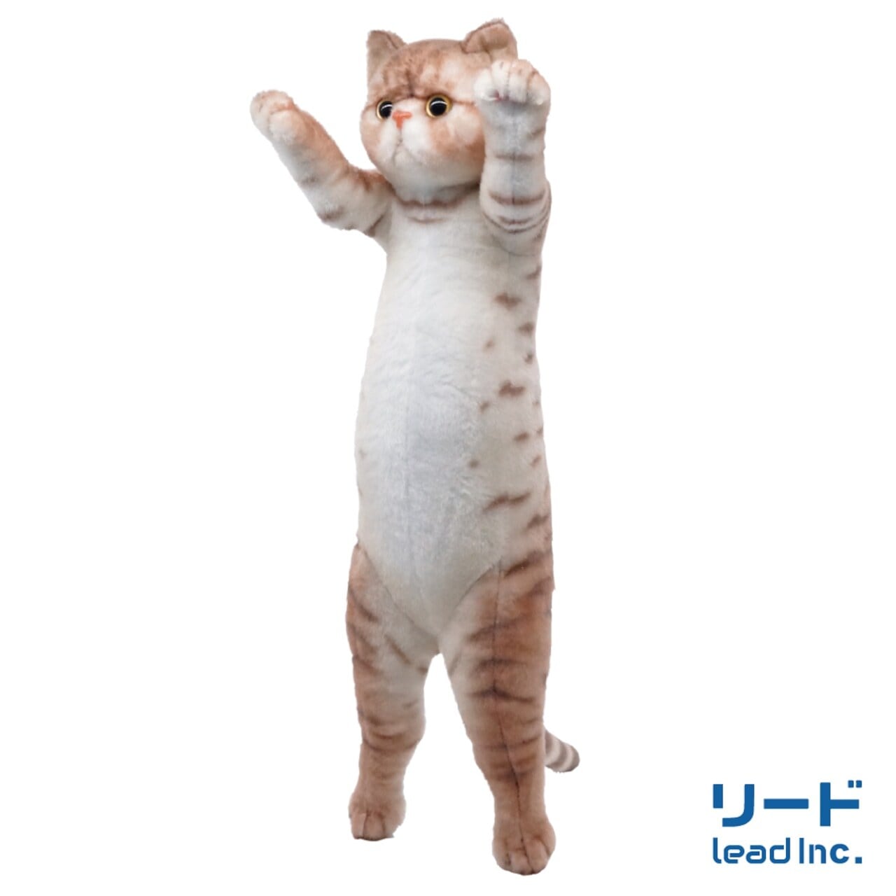 たっちぃzooにゃんこ | 猫雑貨屋 飛び猫商店