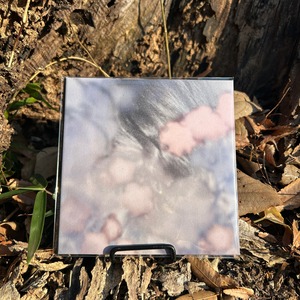 yana yanai / breeze (CD)