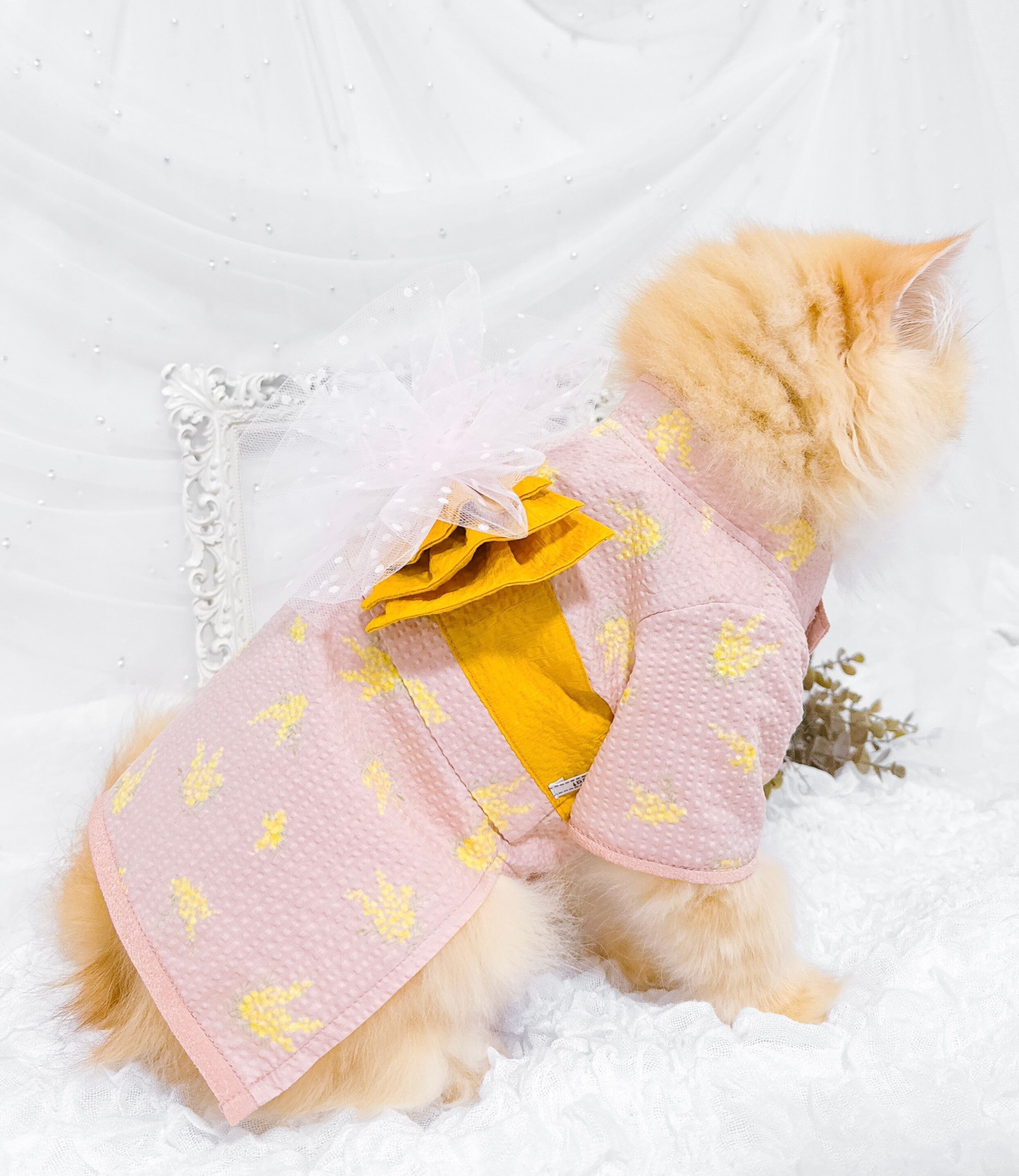 Yukata Mimosa（ミモザの浴衣） | plumecat