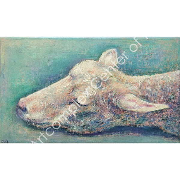 野口優太「まどろみの午後」