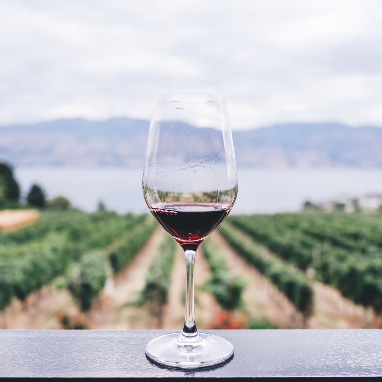 本間昭光 60歳記念セレクションワイン 2025【赤】