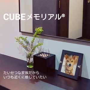 CUBEメモリアル®　雅-miyabi- 黒・メッシュ