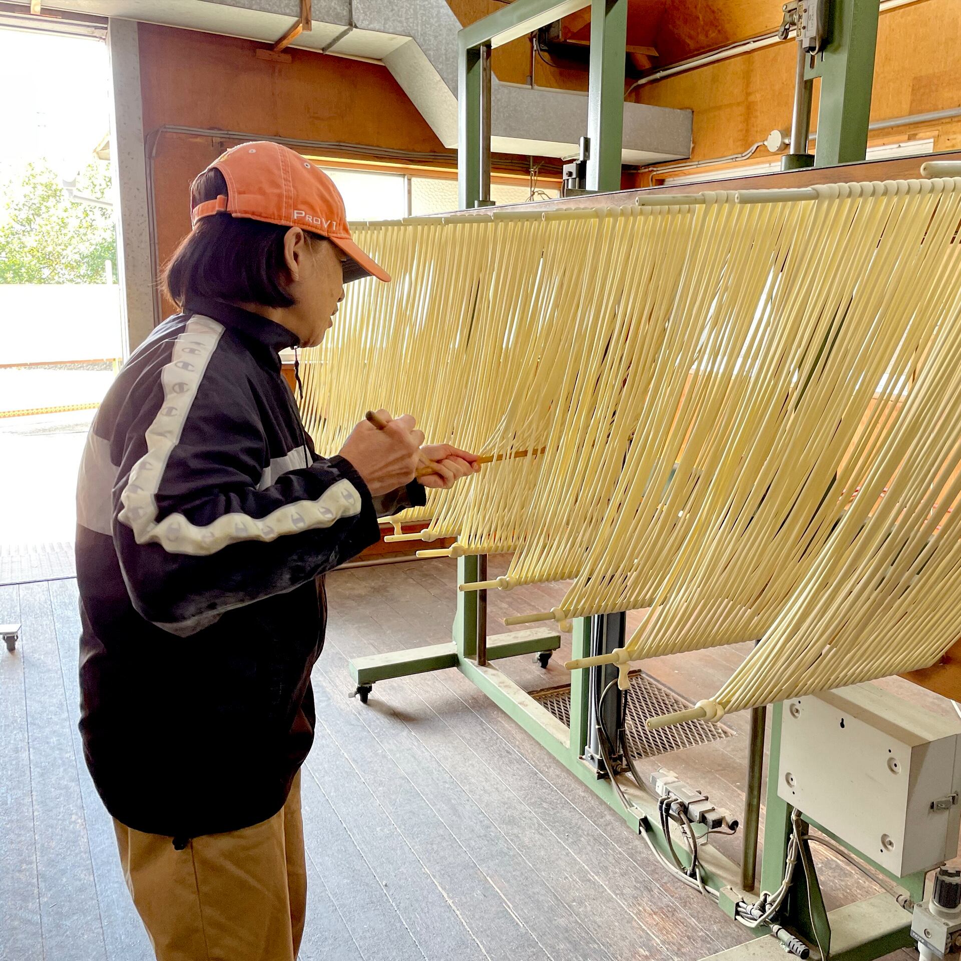 手延べうどん　半生タイプ　20袋