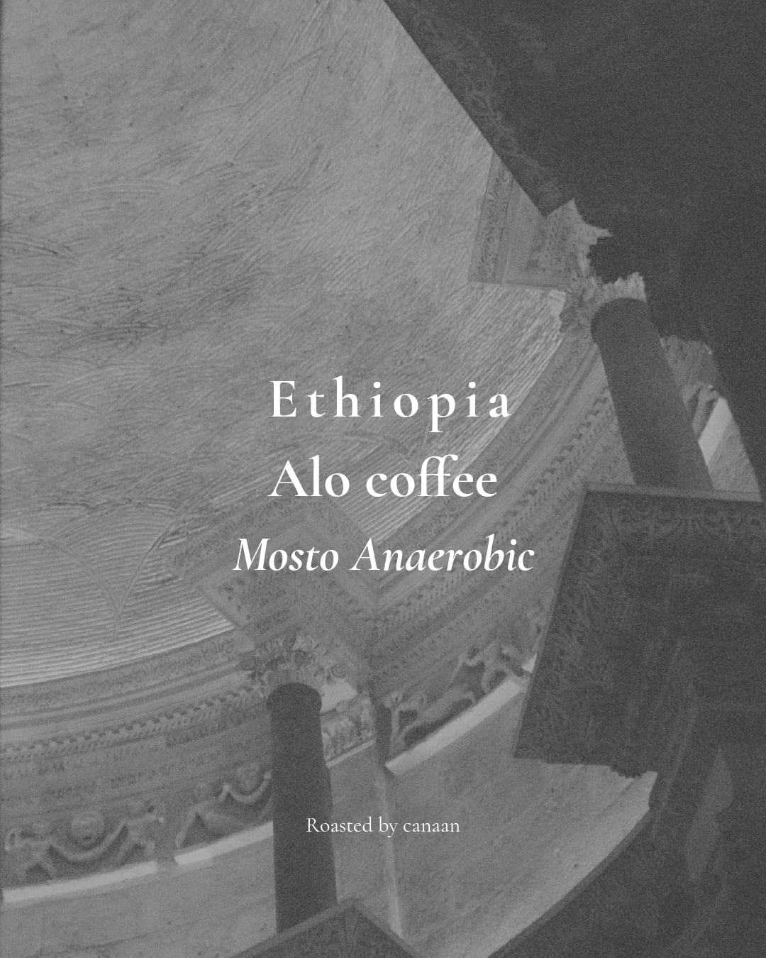 Ethiopia Alo coffee Mosto Anaerobic | 100g