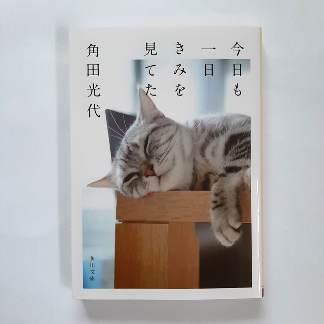 今日も一日きみを見てた(角川文庫)