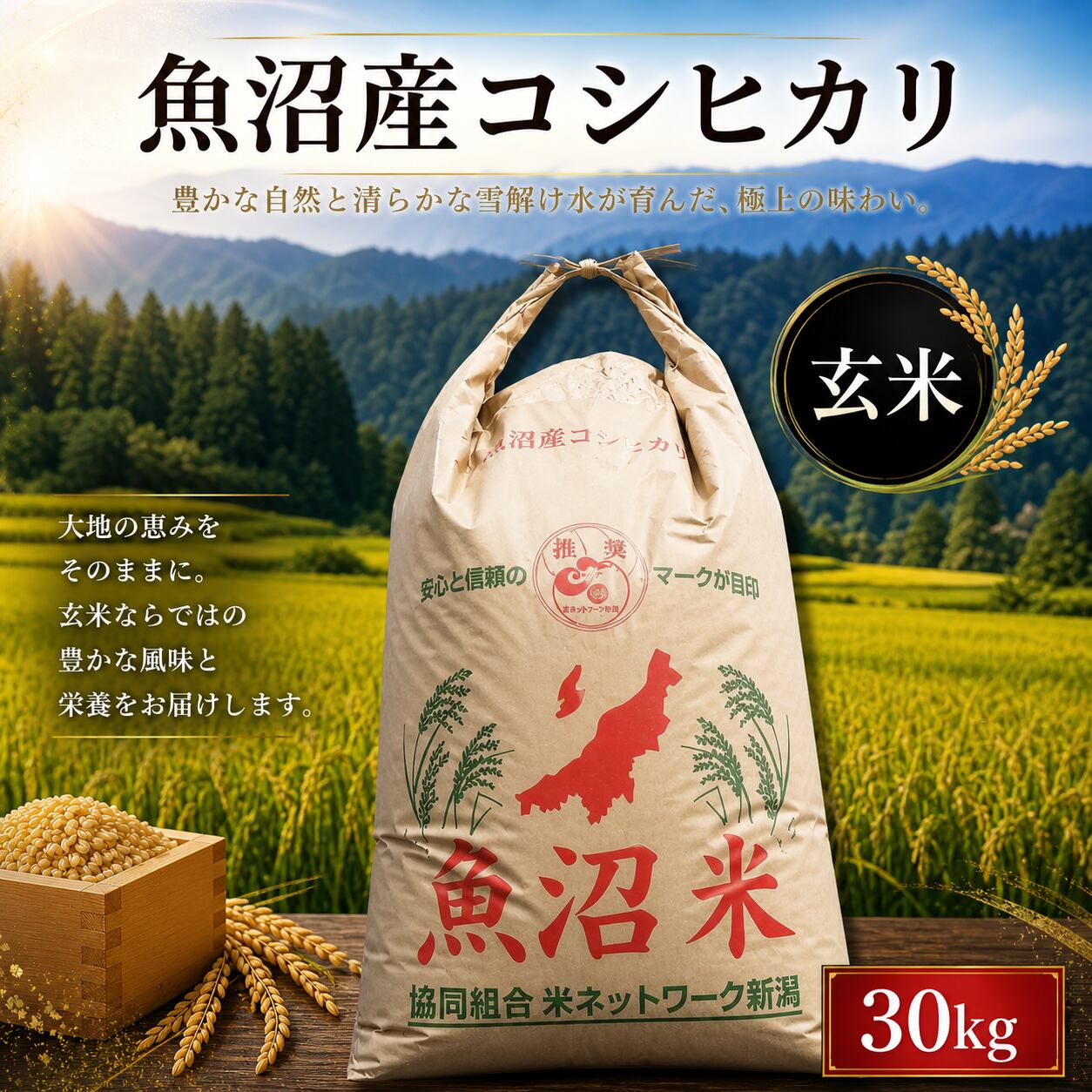 単一原料 令和7年度新潟県産コシヒカリ30kg 送料無料