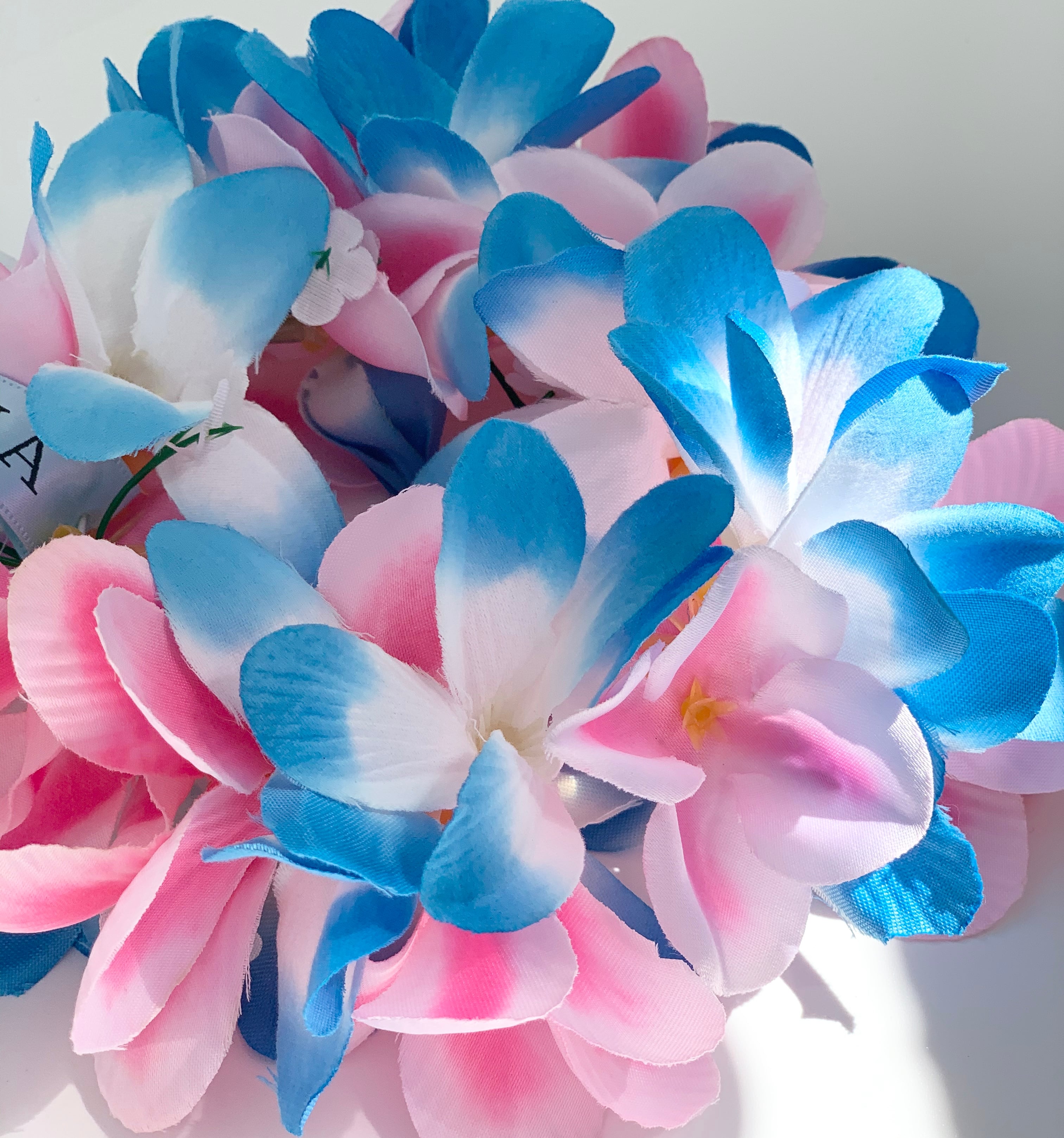 小型犬猫S 限定ティアラ