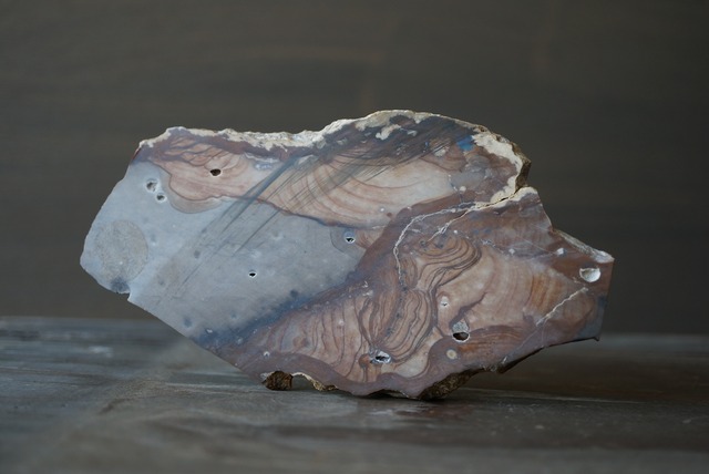 ビッグス・ジャスパー　Biggs Jasper 928