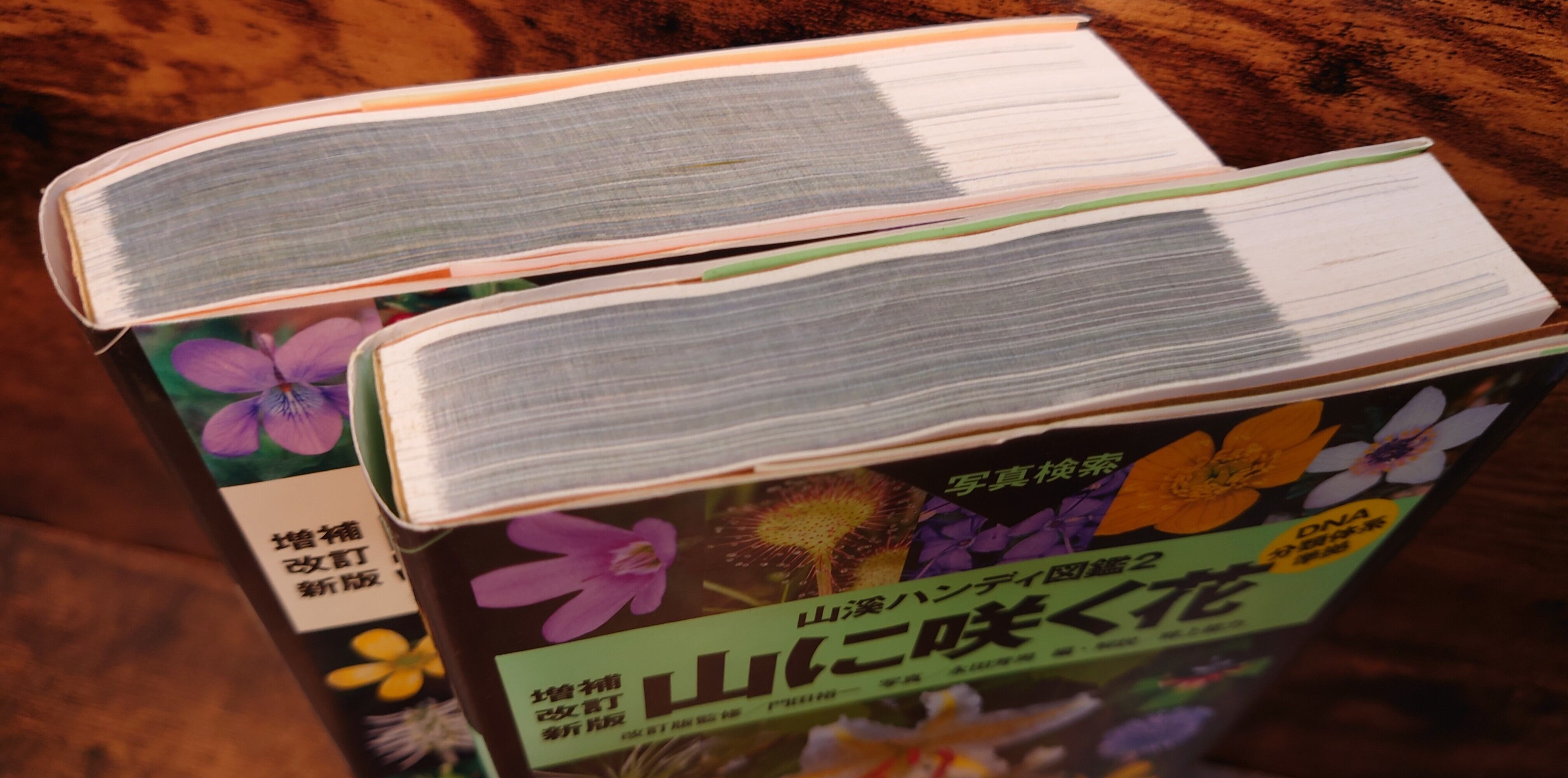 野に咲く花 山に咲く花（山渓ハンディ図鑑1・2）増補・改訂・新版＜DNA