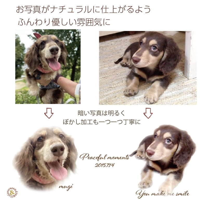 写真から作る うちの子マグカップ 名入れ対応｜ペット 写真入り