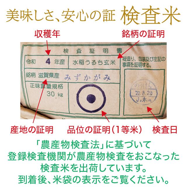 380f55b39c5919b9d3698f774883fc