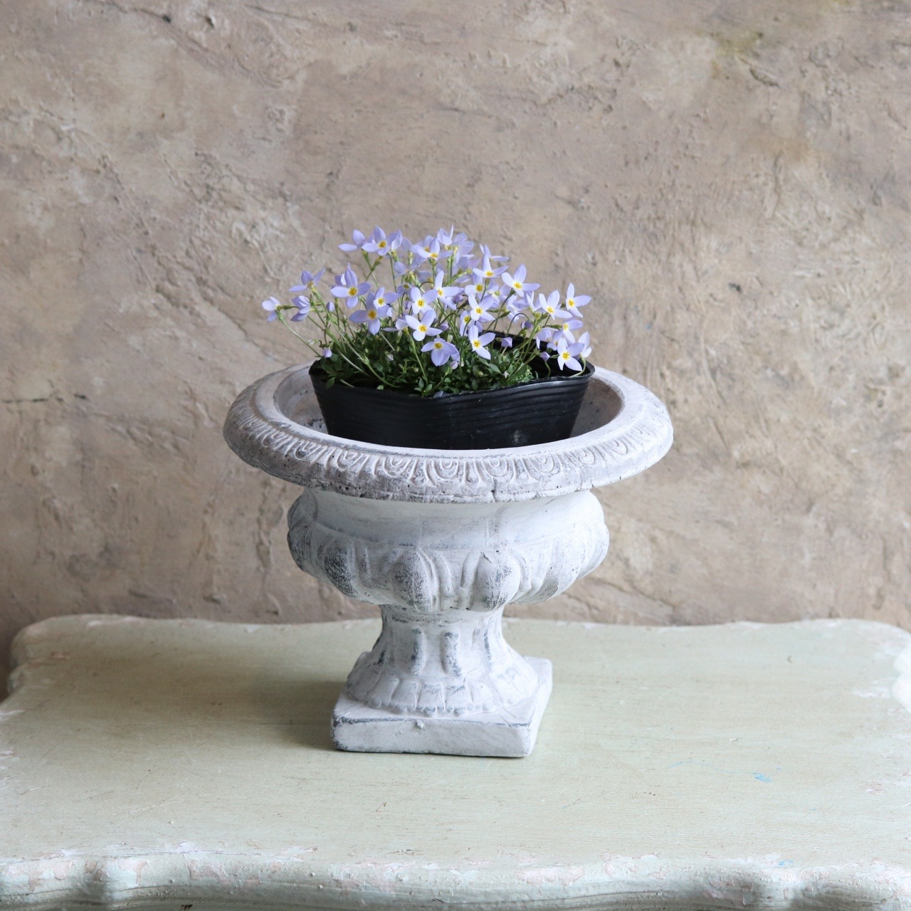 植木鉢　ブランシェオールドアーン　陶器　アンティーク調　シャビーシック　オシャレ