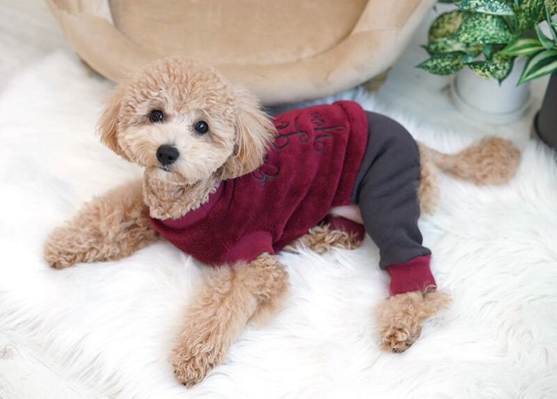 【SALE】 cozy all in one S ~ XL 2color  /  犬服 冬 オールインワン もこもこ ドッグウェア ロンパース 犬の服 シンプル ボア 暖かい