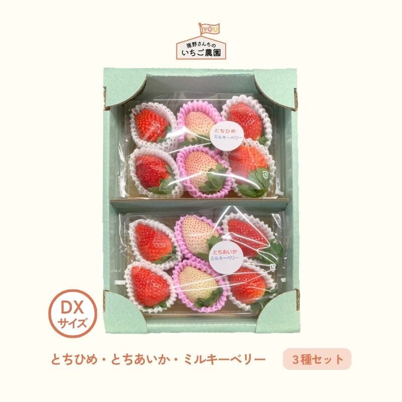 とちあいか（DXサイズ 6粒入り×2P） | 猪野さんちのいちご農園｜産直