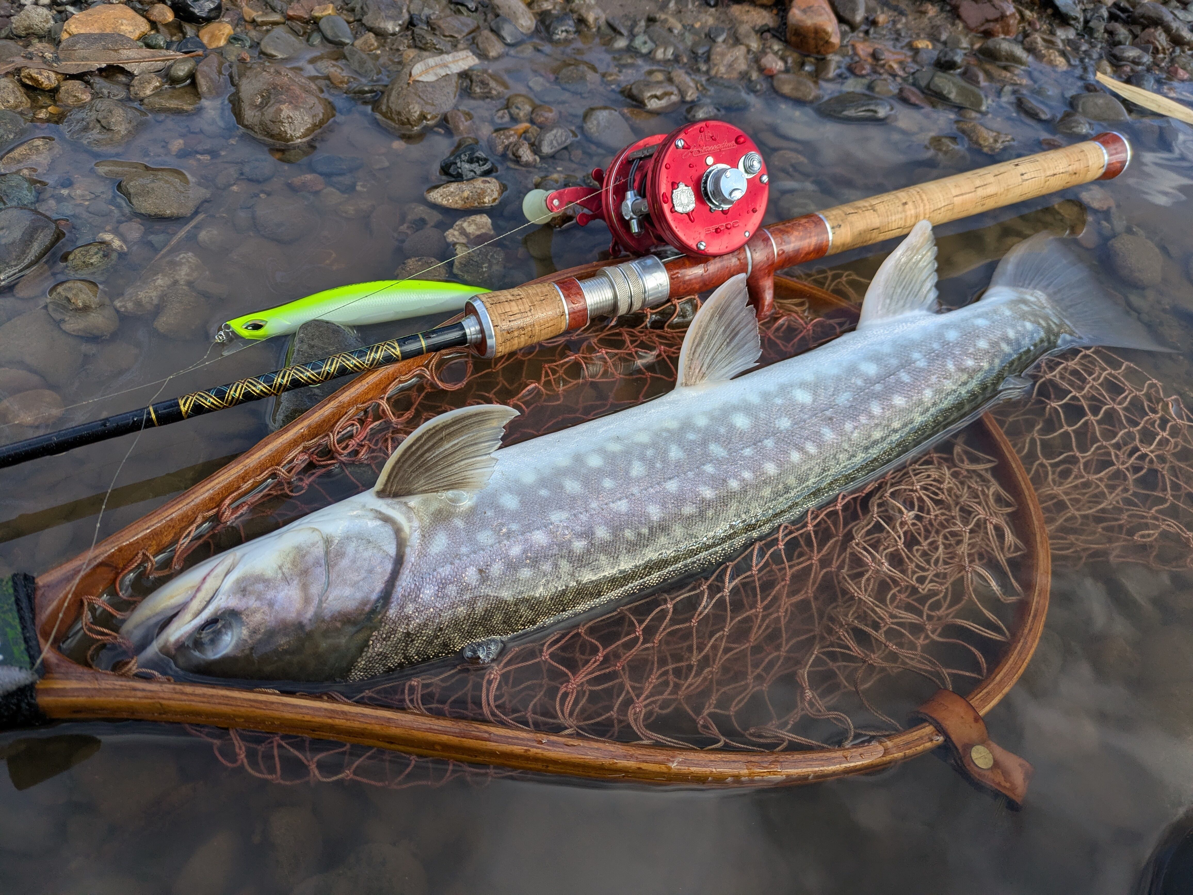 ザウルスjr セレクション シーハント 135F | GO-SLOW.fishing