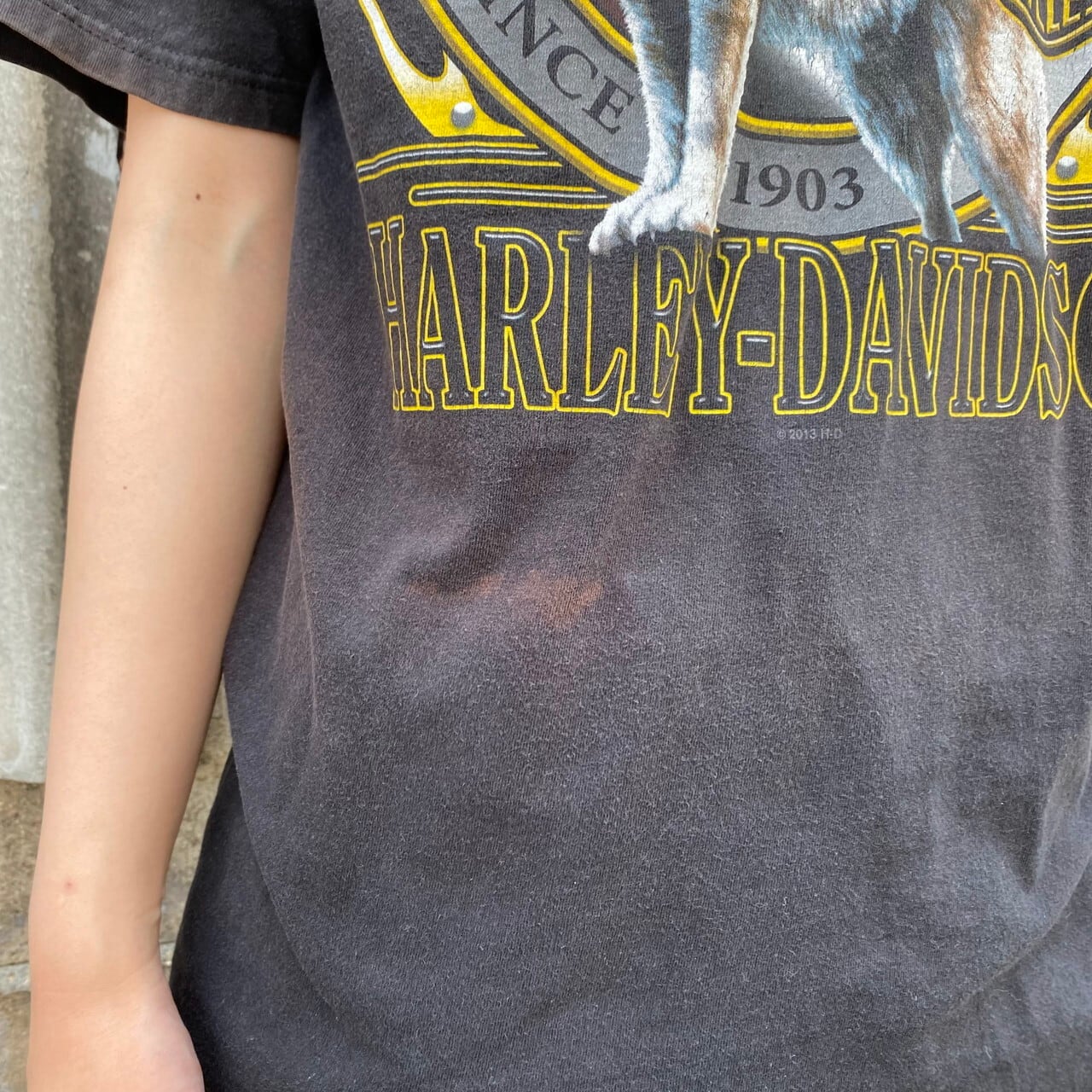 Harley-Davidson ハーレーダビッドソン オオカミ 両面プリントTシャツ 