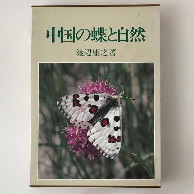 中国の蝶と自然  渡辺康之