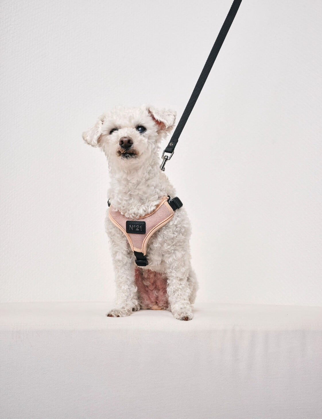 N21 HARNESS＋LEASH - NUDE | ote.