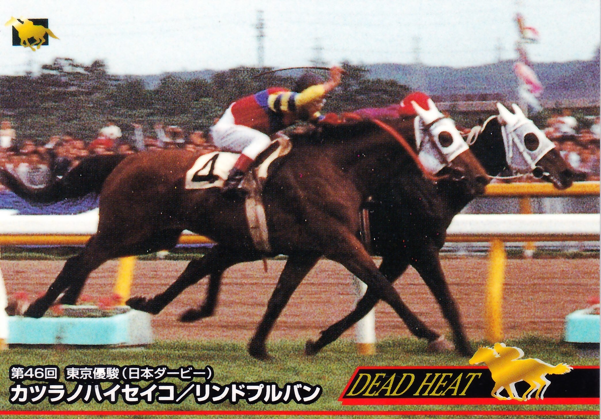 カツラノハイセイコvsリンドプルバン：第46回東京優駿(日本ダービー