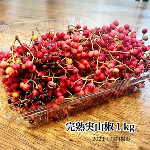 【実山椒】小枝付き１kg （日時指定不可）