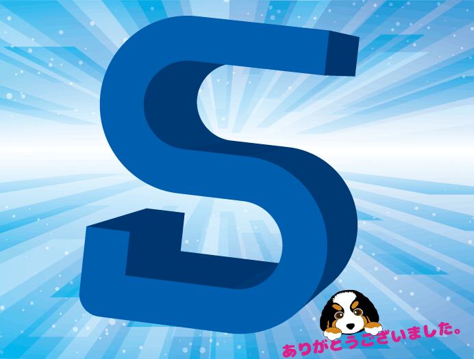 YS様 専用 Ys様専用ページ Ys様 専用