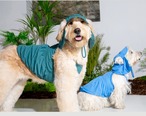 【PUPPYGALLERY公式】ジェリーベアクーリングサンハット【グリーン】S-M