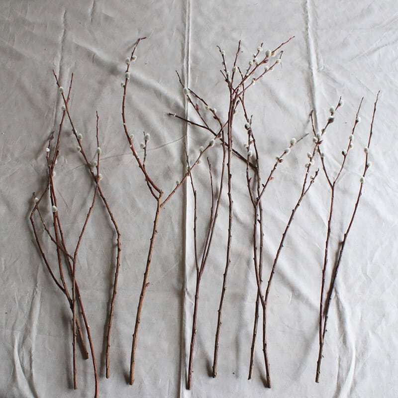 ドライフラワー ◇ 穂付き ネコヤナギ ( 猫柳 ) | 富良野 花七曜