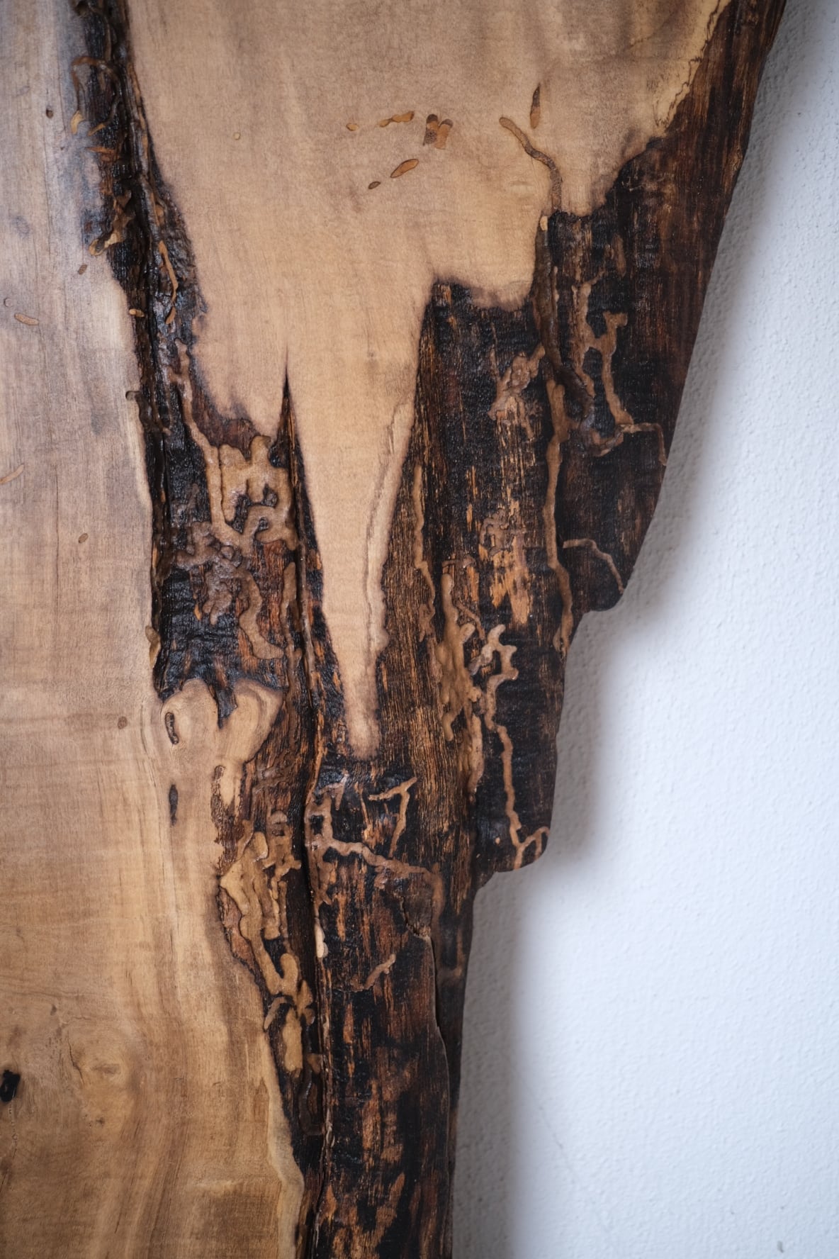 黒柿 -black persimmon- | TORINOKI FURNITURE