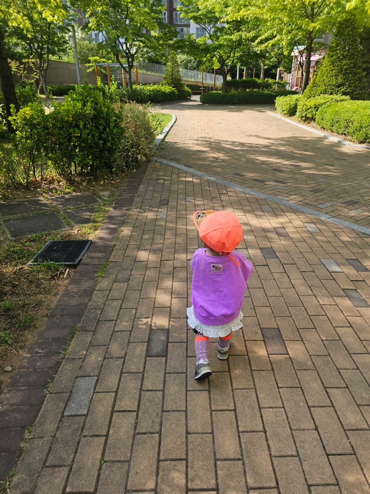 NEONY CAP / ORANGE
