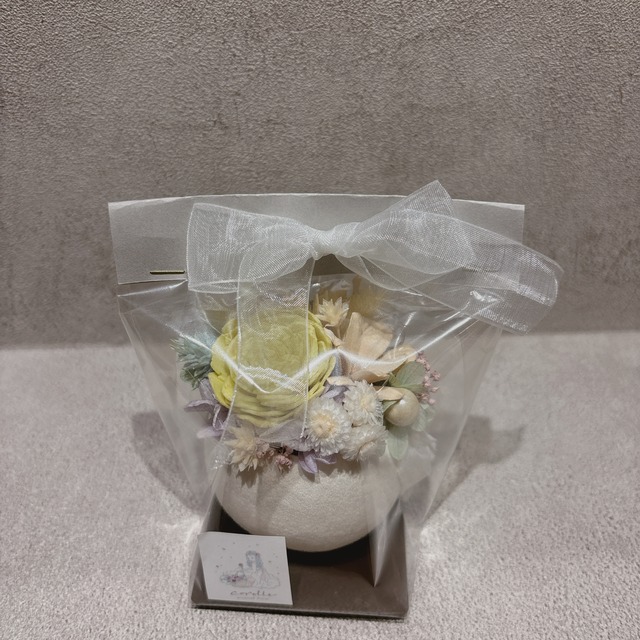 【当店限定】giftBOX！ここだけでしか買えない！！12