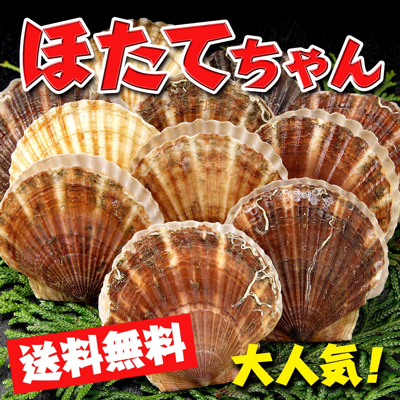 ほたてちゃん（約3kg） | 北海道の旬味処ヤママル