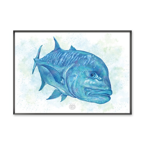 【海のいきものアートポスター／魚】ロウニンアジ