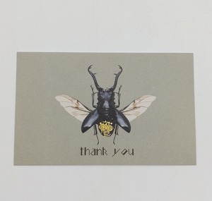 【うつせみ標本屋】サンクスカード　同種３枚セット